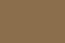 Bronzing Powder Rich Pale Gold