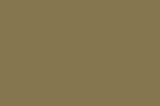 Bronzing Powder Rich Gold