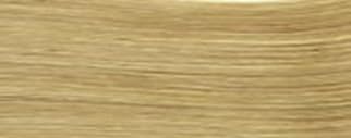 All Natural Lustrous Henna Blonde 100 grams