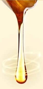 Elastin Propolitera Oil Serum 170ml / 5.8 fl oz