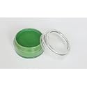 Common body painting Fengda light green 10 g