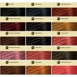 Bigen Semi Permanent Hair Color #Db2 Darkest Brown, 3 oz (Pack of 7)