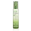 Giovanni Hair Care Products Spray Leave in 2Chic Avcd - 4 Oz
