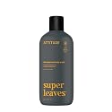 ATTITUDE 2-in-1 Body Wash & Shampoo for Men & Women, EWG Verified, Vegan, Natural Ingredients, Dermatologist-Tested, Ginseng and Grapeseed Oil, 16 Fl