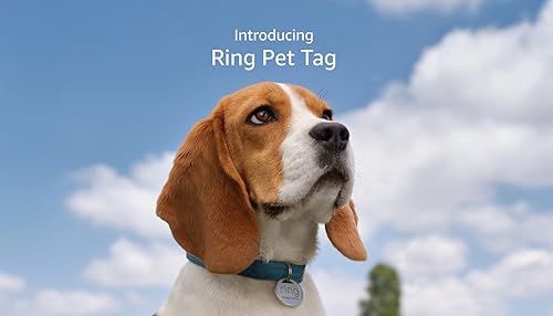 Ring Pet Tag with QR Code - Easy Setup, Real-Time Scan Alerts, Shareable Pet Profile, No Subscription or Fees