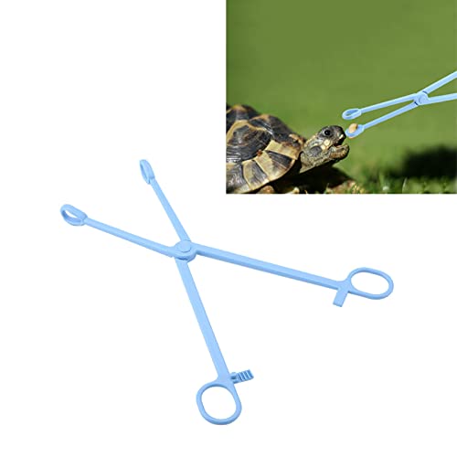Reptile Feeding Tongs Blue Plastic Snake Lizard Clamps 24.5cm Wide Grip Safe Handling Tool for Pet Owners Breeders Amphibian Terrarium Enthusiasts Beauty and Personal Care GLOGLOW