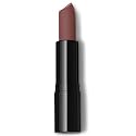 Beauty Deals Ultra Matte Lipstick Velvety Texture Long Lasting Comfort Hydrated Lipstick (Risque)