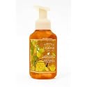 Bath and Body Works Sunshine & Lemons Gentle & Clean Foaming Hand Soap 8.75 fl oz, Yuzu, Grapefruit & Sun Rays
