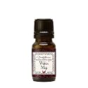 Coventry Creations Wicked Witch Mojo Wishin' Mojo Oil by Dorothy Morrison