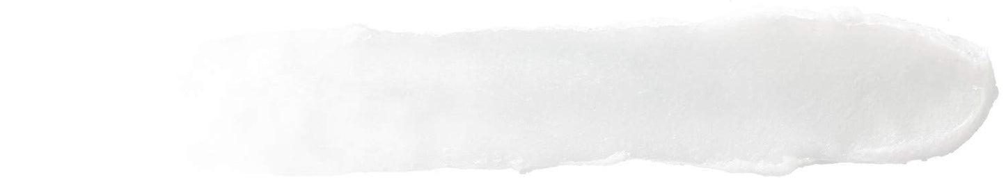 Burt's Bees 100% Natural Moisturizing Lip Balm, Coconut & Pear and Mango with Beeswax & Fruit Extracts - 2 Tubes, 2 Fl OZ