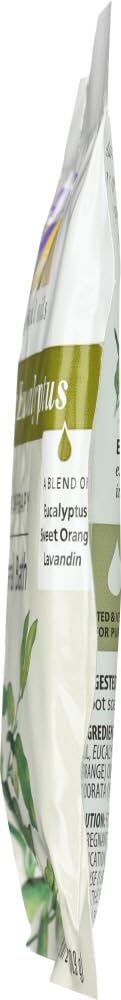 Eucalyptus Harvest Mineral Bath Salts 2.5 Ounces (Pack of 72)72 Beauty and Personal Care Aura Cacia