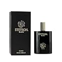 Stetson Black Cologne for Men Spray 3.4 Ounces