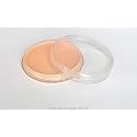 Common body painting Fengda flesh color 30 g