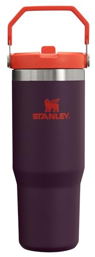 Stanley IceFlow Flip Straw Tumbler with Handle 30 oz | Twist On Lid and Flip Up Straw | Leak Resistant Water Bottle | Insulated Stainless Steel…