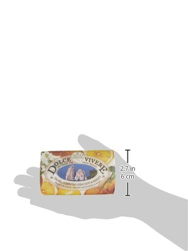 Nesti Dante Dolce Vivere Capri Bar Soap 250 Grams