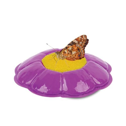 Insect Lore Giant Butterfly Garden – 18" Habitat with Life Cycle Figurines & Voucher to Redeem 5 Baby Caterpillars, Raise Painted Lady Butterflies