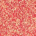 LA Splash Glitter Splash Body/Face Glitter