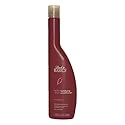 Back To Basics Vanilla Plum Unisex Conditioner, 11 Ounce