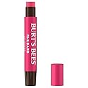 Burt's Bees Shimmer Lip Tint Stocking Stuffers Set, Tinted Lip Balm Stick, Moisturizing for All Day Hydration with Natural Glowy Pigmented Finish