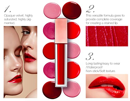 EVELIER Luxury Line: MUSE - Moisturizing Smooth Creamy Fruity Colors Lipstick Lipgloss - For Sexy Lips, Highly Pigmented, Instant Shine Lip Gloss