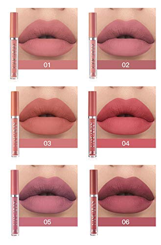 6Pcs Matte Liquid Lipstick Makeup Set, Matte liquid Long-Lasting Wear Non-Stick Cup Not Fade Waterproof Lip Gloss (Set B)