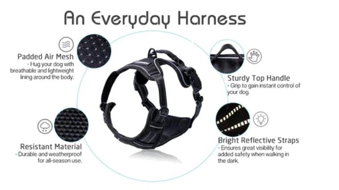 rabbitgoo No-Pull Dog Harness for Large Dogs, Adjustable Padded Vest with 2 Leash Clips, Reflective & Easy Control Handle, Black L