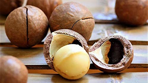 Barefoot Venus Macadamia Nut Oil and Almond Oil Body Cream 225 ML / 8 Oz (Wild Ginger & Sweet Orange)