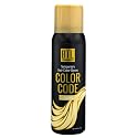 BTL Professional BTL Color Code Temporary Hair Color Spray-On! Vibrant & Easy to Wash | Fast Drying (3oz/80g) (Blonde, 3oz/80g)