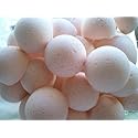 Spa Pure Shea Bath Bombs: 14 Bath Bomb Fizzies with Shea Butter, Ultra Moisturizing ...Great for Dry Skin (Princess)
