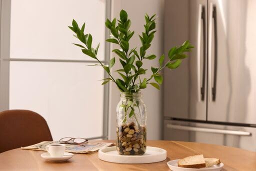 Ball - 64oz Wide Mouth Jars with Lids & Bands 6 Pack Jars | Half Gallon Large Glass Mason Jar for Food Storage with airtight Lid, 0.5 Gallon Glass…