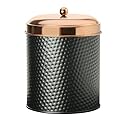 Amici Home Ashby Copper Metal Canister, X-Large, 104oz