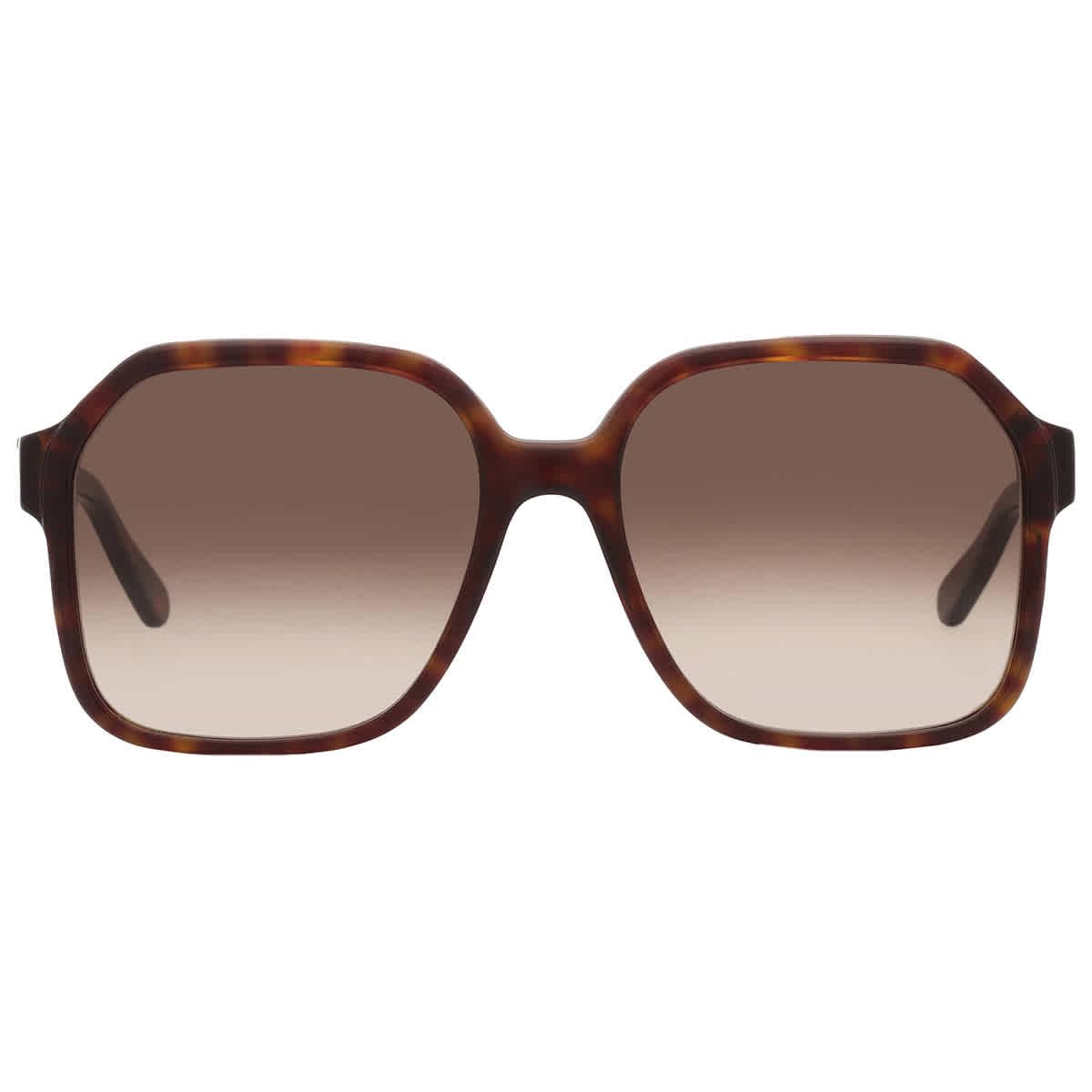 Ferragamo Women's Sf1069s 56Mm Sunglasses, Brown