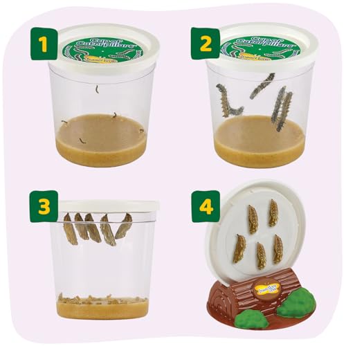 Insect Lore Giant Butterfly Garden – 18" Habitat with Life Cycle Figurines & Voucher to Redeem 5 Baby Caterpillars, Raise Painted Lady Butterflies