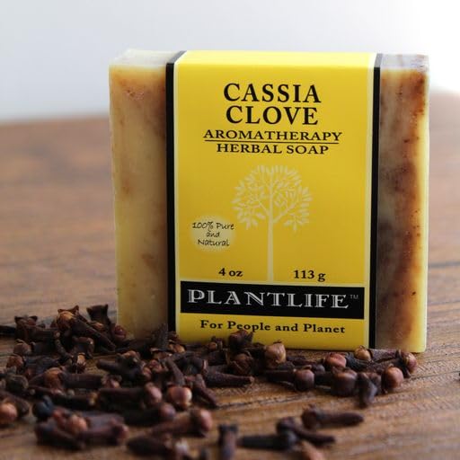 Plantlife Cassia Clove 6-pack Bar Soap - Moisturizing and Soothing Soap for Your Skin - Hand Crafted Using Plant-Based Ingredients - Made