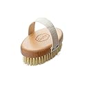 Gute Professional Dry Skin Body Brush, Dry Brush with Cactus/Vegetable Bristles (Firm/Extra Firm Bristles)