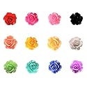 100 pieces Rose Embellishments for Nail Art Charm or jewelry making, 3D with Flat Back Resin Beads Manicure Multicolor Flowers