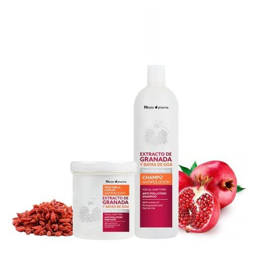 Tahe Pomegranate and Goji Berry Anti-Pollution Hair Care Set, 2-Piece Shampoo and Treatment System, Sulfate Free, Natural Antioxidant Protection
