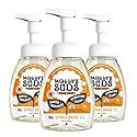 Molly's Suds Foaming Hand Soap - Made with Aloe and Coconut Oil | Moisturizing Hand Wash | Clean Ingredients, Infused with Essential Oils | Citrus