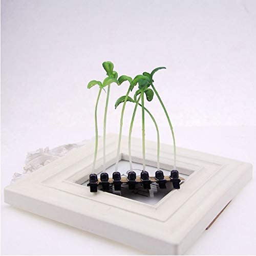 Dreamxue Funny Grass Hair Clips, 4 Pcs Bean Sprout Hairpins, Green Leaf Plant Antenna Hair Pins Hair Accessories for Women Girls Kids