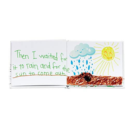 Creativity for Kids Sunflower Garden - Sunflower Kit for Girls and Boys (Ages 6+)