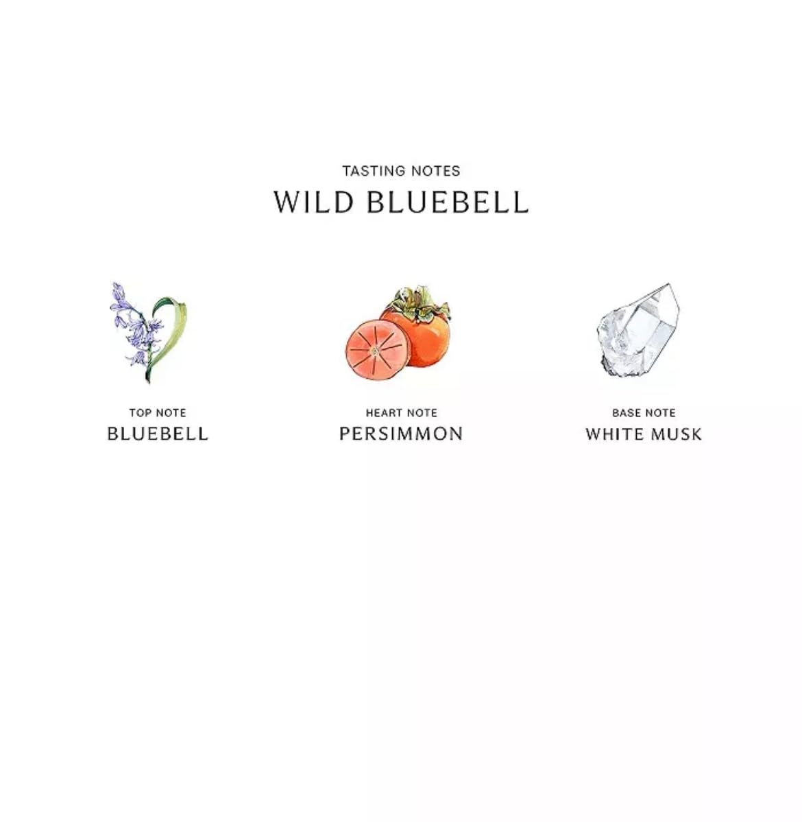 Jo Malone Wild Bluebell Body & Hand Wash (With Pump) 250ml/8.5oz