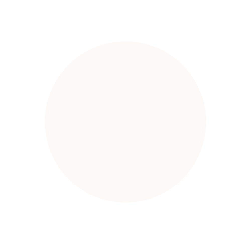 Morgan Taylor Nail Lacquer (Sheek White) White Professional Lacquer, Vibrant, Chip-Resistant, Fast-Drying, Long-Lasting, High-Shine, Perfect Beauty & Personal Care Morgan Taylor