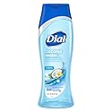 Dial Body Wash Coconut Water and Bamboo Leaf Extract, 16 Ounce (Pack of 3)