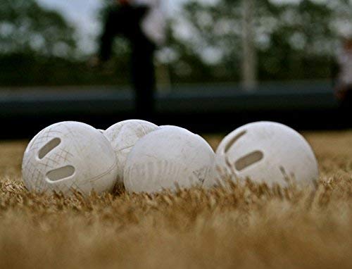 Wiffle Ball Original Brand Baseballs, Regulation Baseball Size, 24 Count