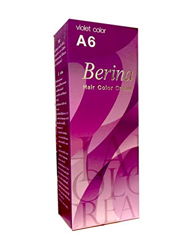 Pack of 2 Sets Berina BERINA PROFESSIONALS Hair Color Cream Permanent Hair Dye Color A6 : Violet 60 G. Super Permanent Fashion Unisex