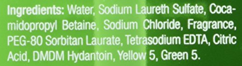 Neutrogena Rainbath Renewing Shower and Bath Gel, Pear & Green Tea (40 Oz)