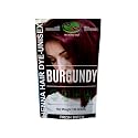 1 Pack Of Burgundy Henna Hair & Beard Color/Dye 100 Grams - Natural Hair Color, Plant-based Hair Dye - The Henna Guys