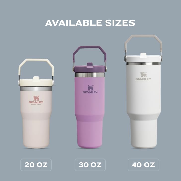 Stanley IceFlow 2.0 30oz Flip Straw Tumbler – Insulated Stainless Steel, Leak-Resistant, Twist-On Lid, BPA-Free, Dried Pine