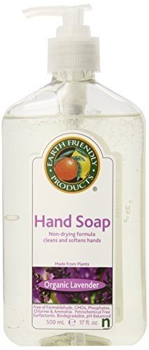 Earth Friendly Hand Soap Antibacterial 17 Oz Clear Beauty & Personal Care Earth Friendly Products