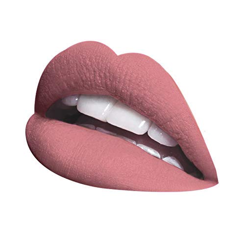 LA Splash Cosmetics Waterproof All Day Wear Liquid Matte Pink Lipstick Classic Hollywood Horror Collection [2017 LIMITED EDITION] (Christine)